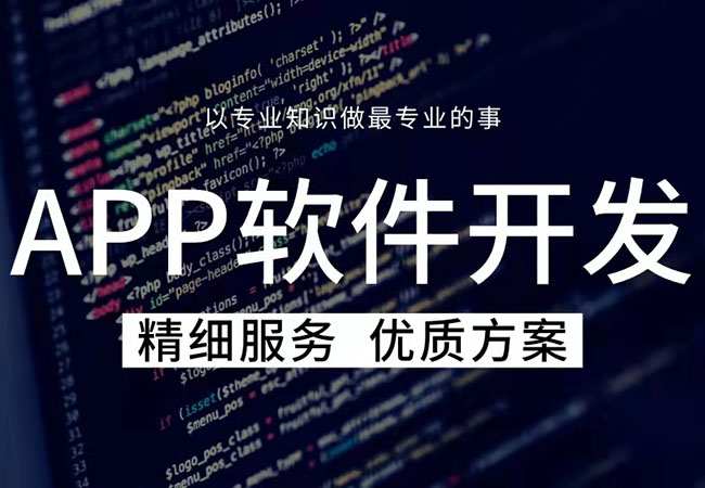 app定制开发不如小程序开发？