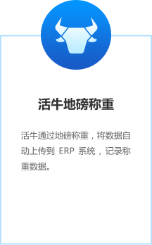 活牛地磅称重